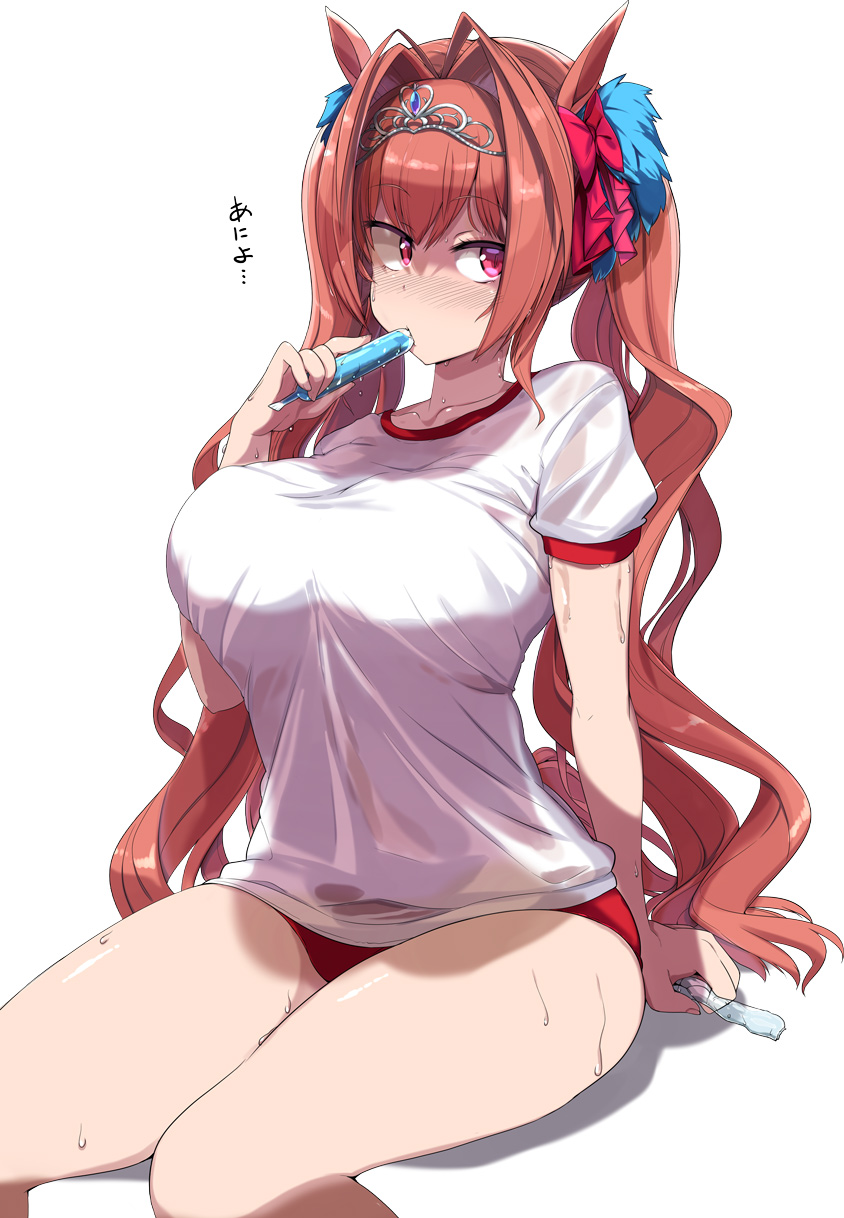 1girls 2d big_breasts breasts brown_hair daiwa_scarlet_(umamusume) female horse_ears horse_girl large_breasts long_hair mamo_williams red_eyes solo solo_focus umamusume umamusume_pretty_derby