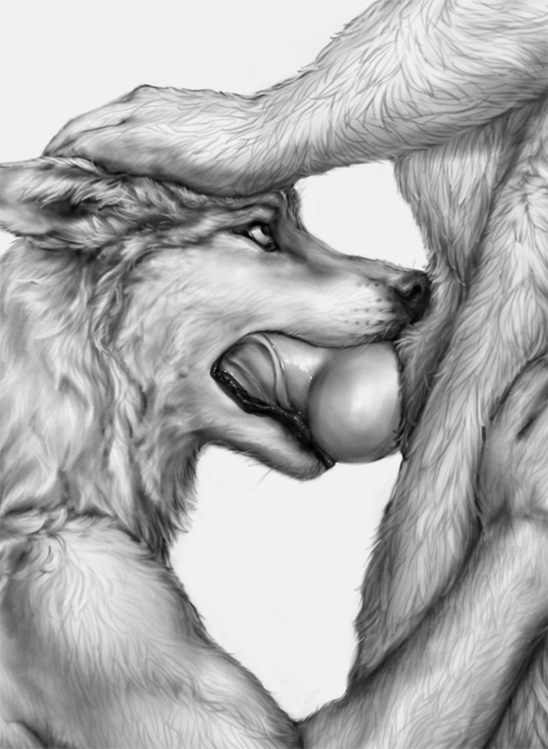 anakuro anatomically_correct anthro black_and_white canine canine_penis erection fellatio fluffy fur furry gay husky knot licking line_art lips male monochrome oral oral_sex penis petting plain_background realistic sheath tongue whiskers white_background work_in_progress