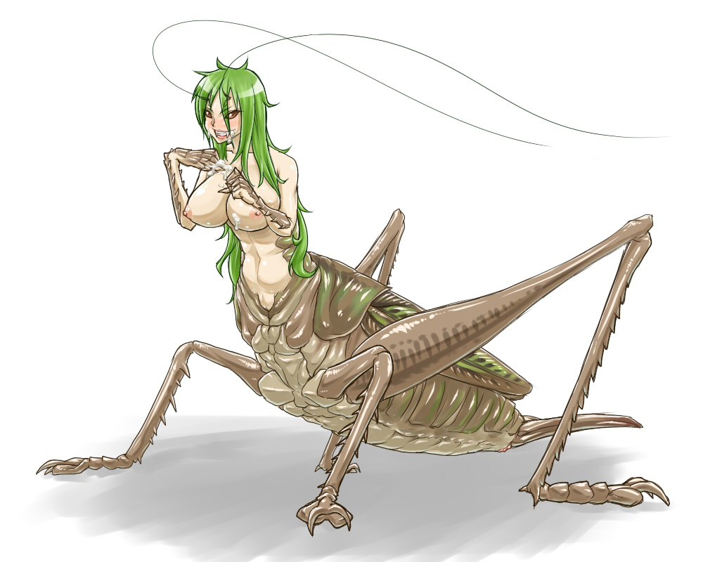 1girls abdomen antenna antennae arthropod big_breasts breasts brown_eyes cricket cum cum_on_breasts cum_on_face female grasshopper green_hair hair human_being_bizarre insect_taur insects pussy solo solo_focus taur