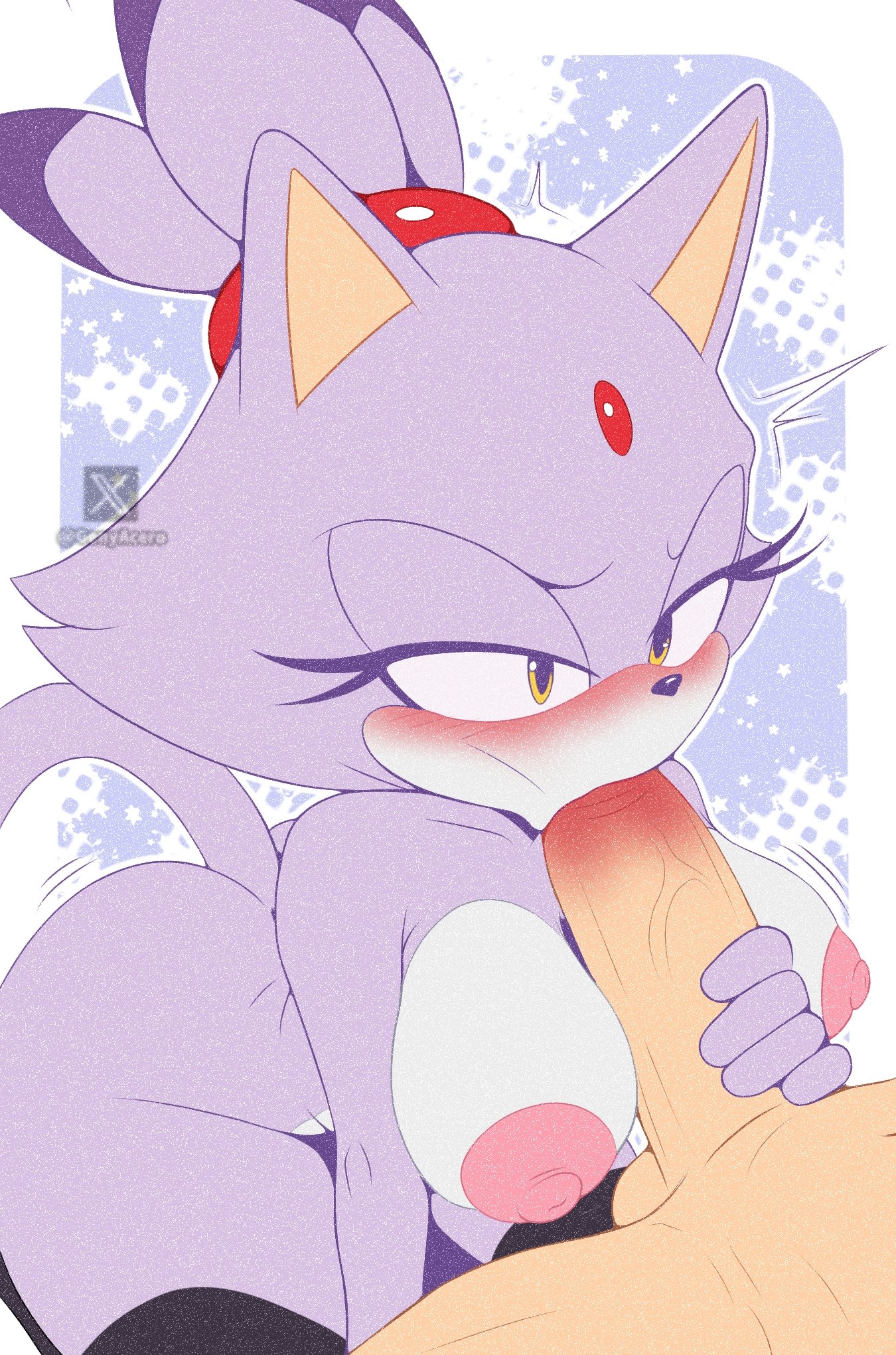 1boy, 1girls, blaze the cat, blowjob, female, genyacero, human, human on anthro, male, sonic (series), sonic the hedgehog (series), unseen male face