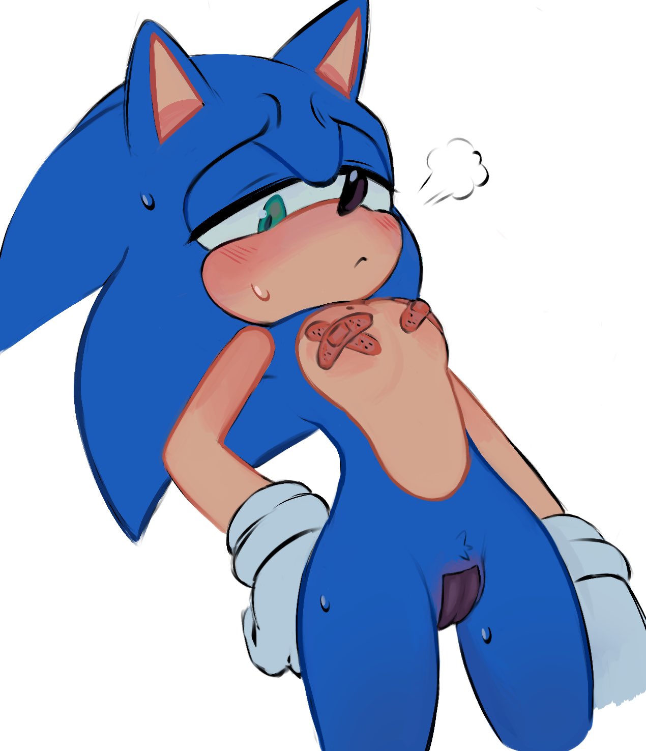 andromorph bandaid blush cameltoe cuntboy furry genderswap genderswap_(mti) intersex pasties pussy sonic_(series) sonic_the_hedgehog sonic_the_hedgehog_(series) sweat vaixen