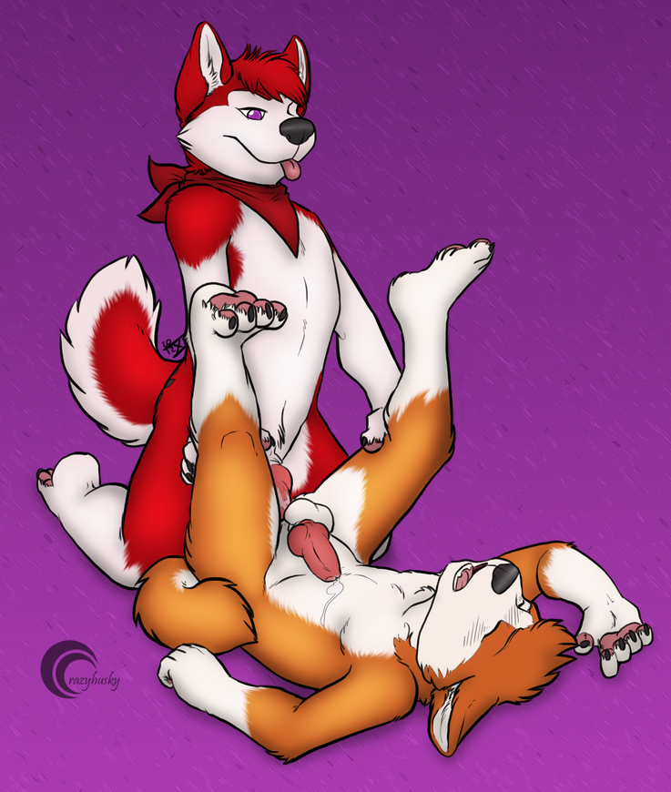 akita anal anthro balls bandana canine cenny crazy-husky fur furry gay husky kitaness knot male precum ten