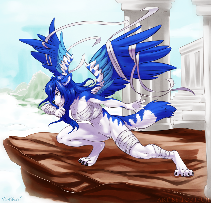 anthro bottomless canine female fur furry pussy skimpy solo suntattoowolf tokifuji wings wolf