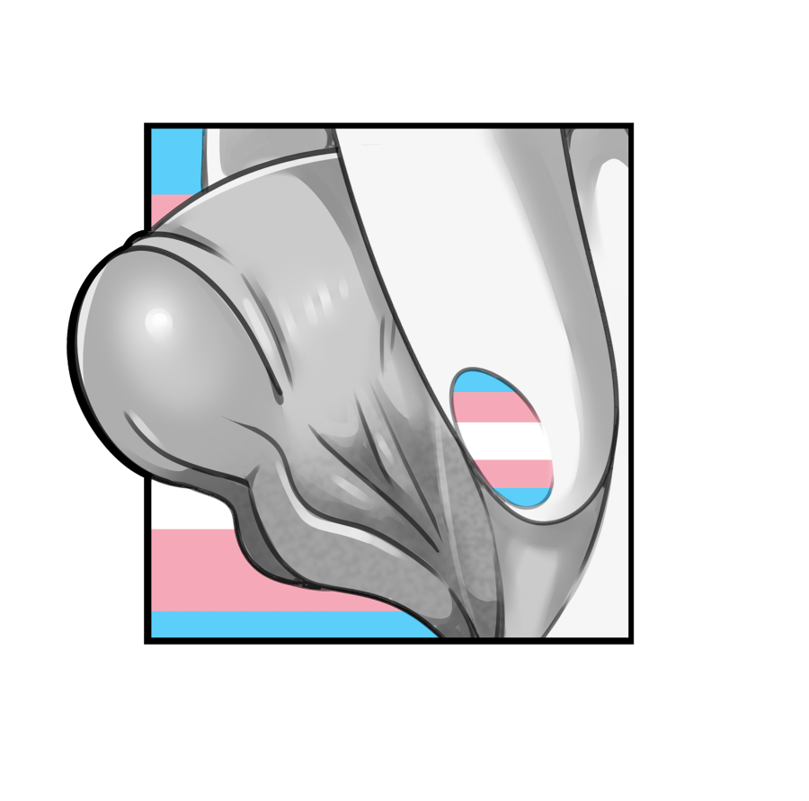 clitoral_hood clitoris cuntboy cuntboy_focus cuntboy_only cuntboy_sans_balls darkchibishadow fingers presenting_clitoris t-dick trans_man transgender_flag transgender_pride_colors transmasc