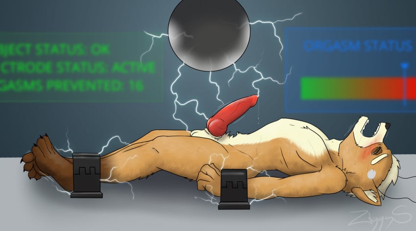 alphabet anthro blush bodily_fluids bound captured cock_and_ball_torture cuff_(restraint) denied edging electrostimulation extreme_stimulation fox_mccloud furniture genital_fluids hi_res male nintendo nude precum restrained restraints series shackles solo star_fox table tesla_coil torture ziggy_s