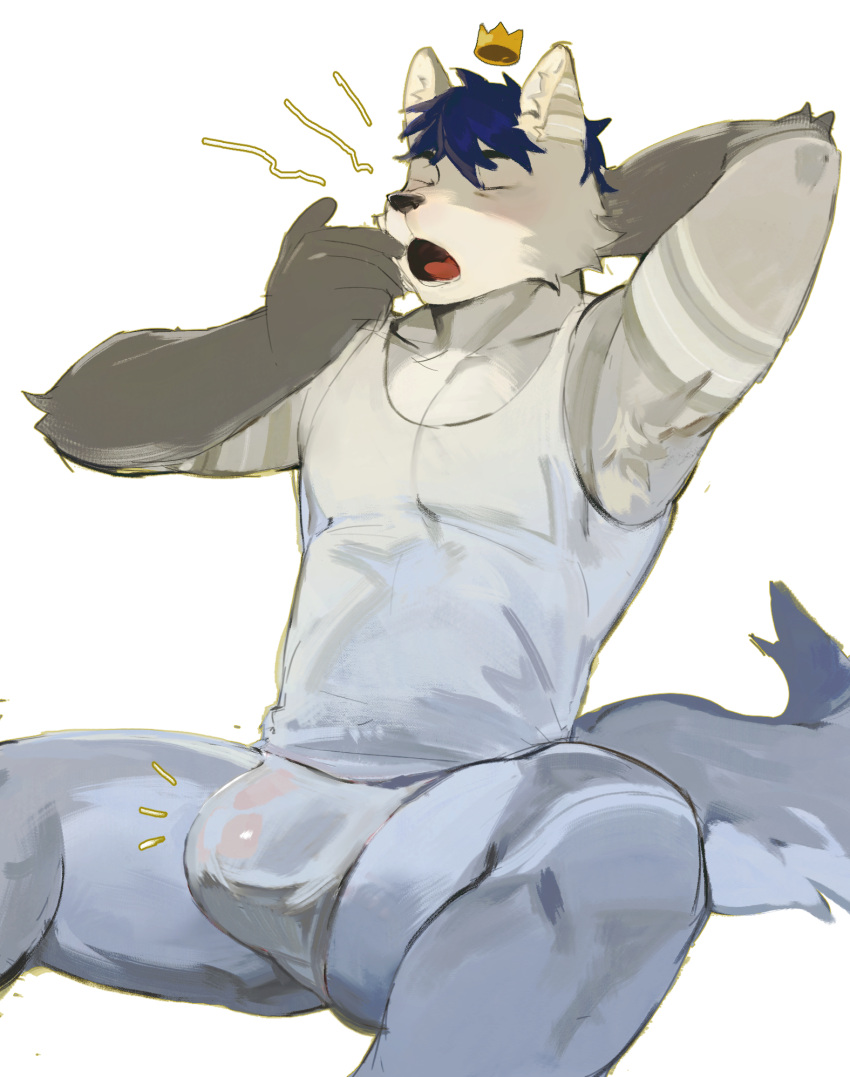 2024 anthro bulge canid clothing detailed_bulge fur genital_outline grey_body grey_fur hair hi_res male male_only mammal open_mouth penis_outline sitting solo tail topwear underwear yawn yuuko891