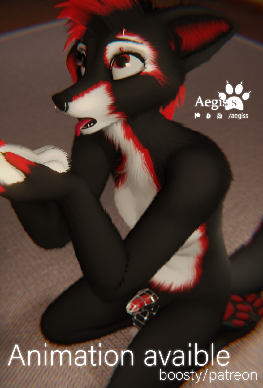 1futa 2024 3d_(artwork) aegiss_(artist) alice_(aegiss) animal_genitalia animal_penis anthro balls bdsm_gear black_body black_fur bondage breasts canid canine chastity_cage chastity_device digital_media_(artwork) eyebrow_piercing facial_piercing fangs feet fox fur futa genitals hair hi_res mammal nipples nude open_mouth pawpads paws penis piercing red_body red_eyes red_fur red_pawpads ring_piercing sheath solo submissive tail teeth tongue tongue_out white_body white_fur white_paws wolf