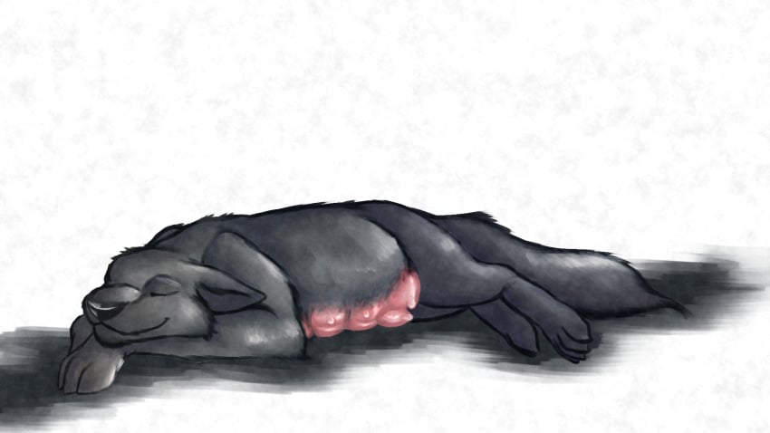 16:9 belly big_belly breasts bredtolove_(artist) busty_feral canid canine canis digital_media_(artwork) digital_painting_(artwork) female feral fur furry furry_only grey_body grey_fur hi_res mammal nipples pink_breasts pink_nipples pregnant pregnant_female pregnant_feral simple_background sleeping solo solo_focus swollen_breasts widescreen wolf