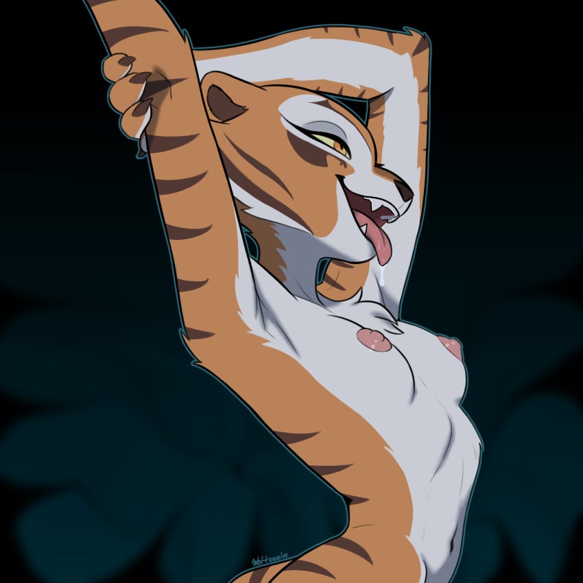 Master Tigress (Dreamworks) Rule 34 Image