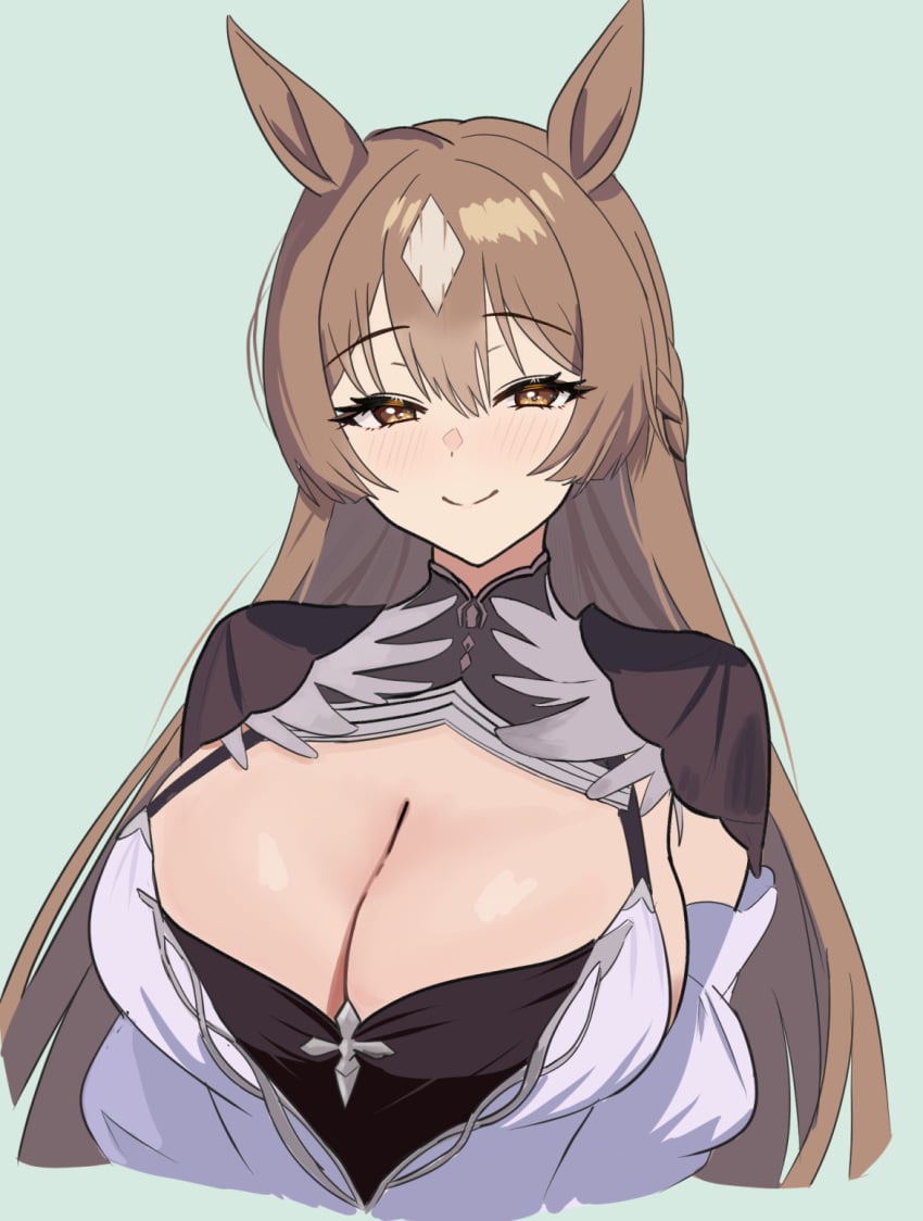 Satono Diamond (Umamusume) Rule 34 Image