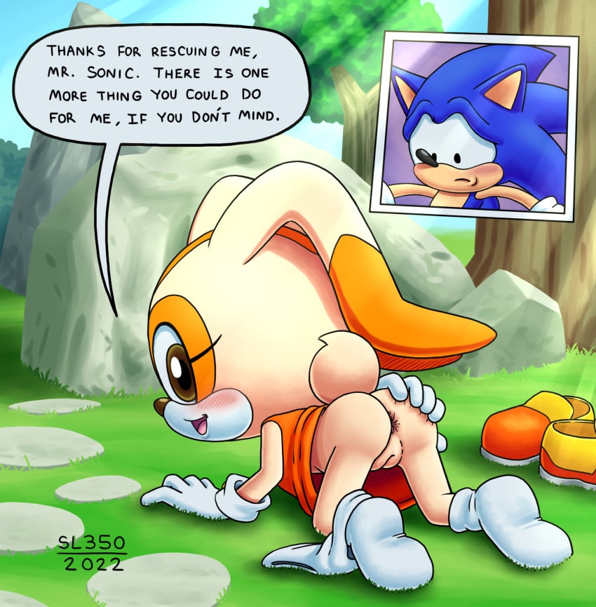 2022 ass cream_the_rabbit cub dialogue english_text hedgehog rabbit sega sl350 sonic_(series) sonic_advance_2 sonic_the_hedgehog sonic_the_hedgehog_(series) tagme young younger_female