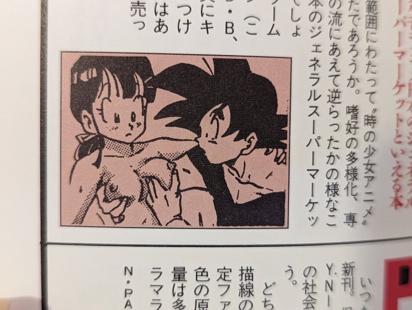 Chichi (Dragon Ball) Rule 34 Image