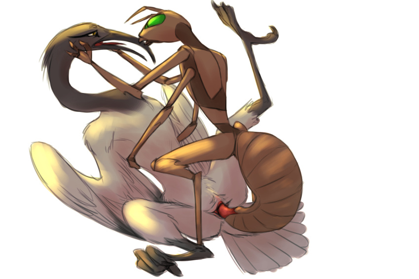 Aarakocra (Dnd) Rule 34 Image