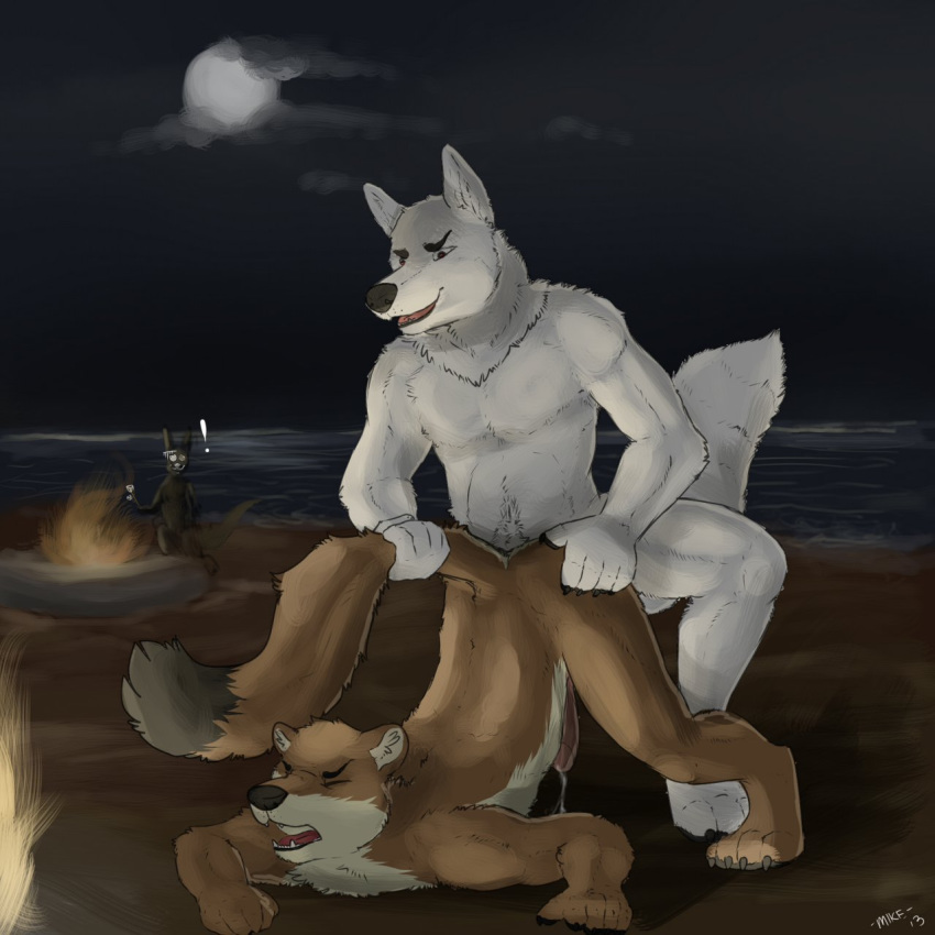 2013 anal anal_sex beach canine doggy_style erection fluffy_tail from_behind furry gay male mike_(artist) night no_humans penetration penis seaside sex tail_grab wolf