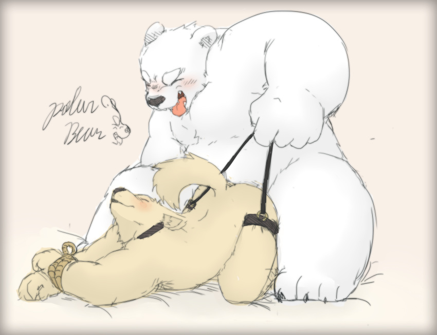 ambiguous_gender bear bondage bound collar duo eyebrows hi_res kemono male_only mammal plain_background polar_bear rope sex stevenlew teeth tongue tongue_out white_background