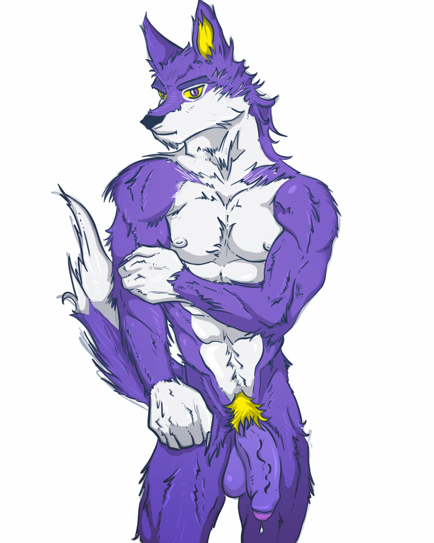 absurd_res animal_crossing anthro big_penis canid canine canis digital_media_(artwork) fist foreskin fur genitals hair hi_res inklooser lobo_(animal_crossing) male mammal muscular nintendo penis purple_body purple_hair shy solo wolf