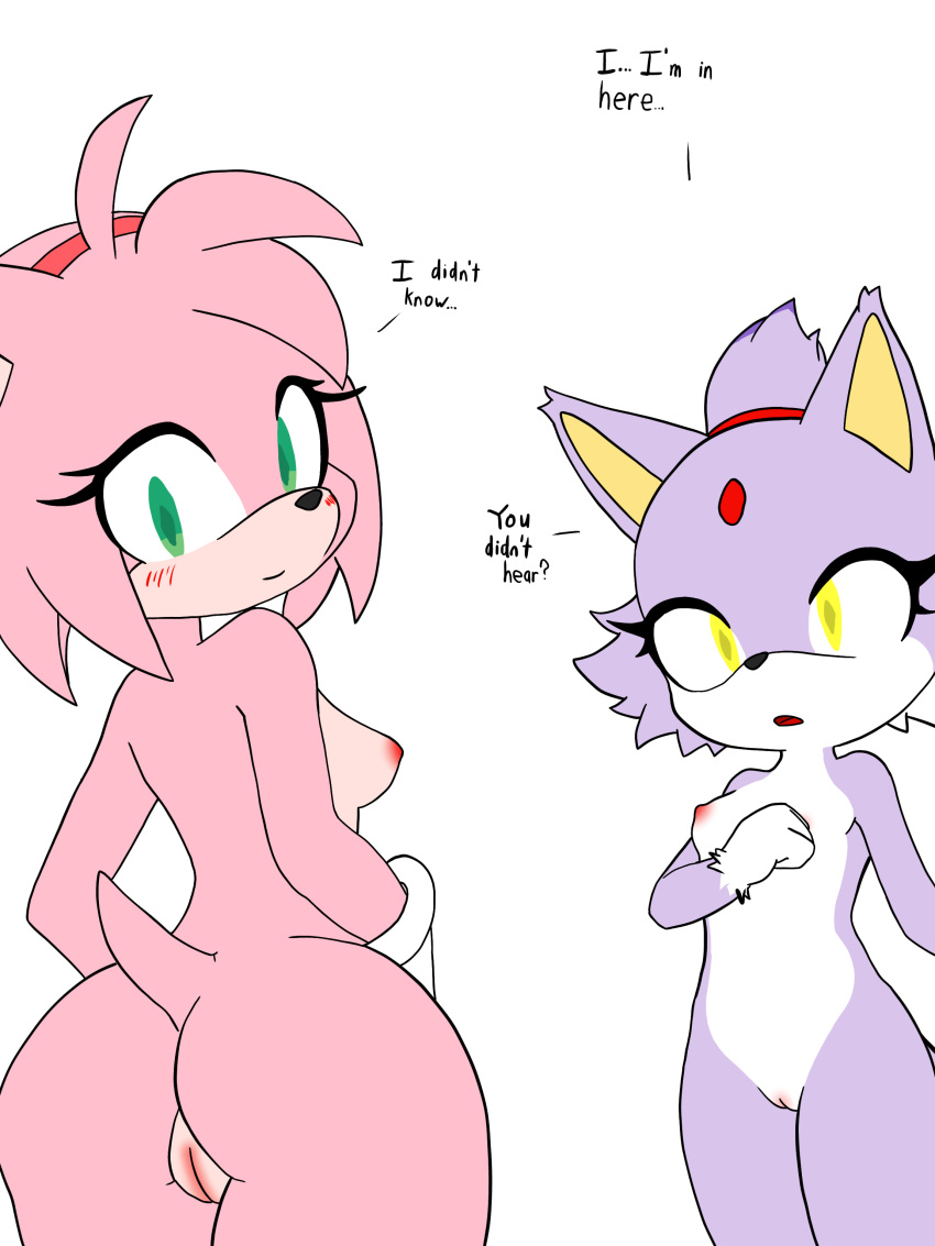 absurd_res accessory amy_rose anthro ass blaze_the_cat blush breasts duo eulipotyphlan felid feline female female/female flat_chest forehead_gem fur genitals hand_on_own_breast headband hedgehog hi_res hikaridraws hikaridrawsad looking_away mammal medium_breasts pink_body pink_fur purple_body purple_fur pussy red_headband sega small_breasts sonic_(series) sonic_the_hedgehog_(series)