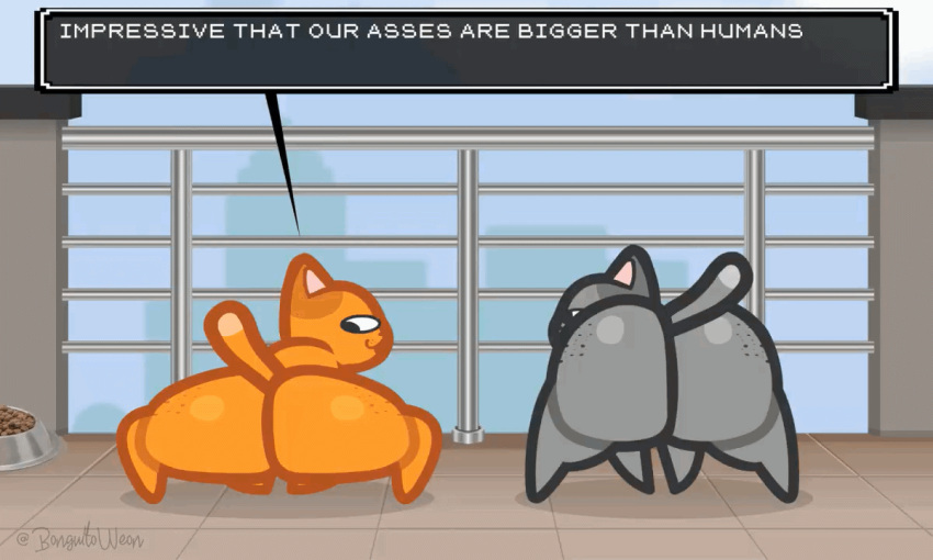 animated ass big_butt bonguitoweon bouncing_butt domestic_cat duo felid feline felis male male_only mammal nude text