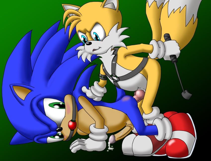 ball_gag blue_fur bondage cobra_mcjingleballs fur furry furry_only furry_tail gag hedgehog male mammal multiple_males multiple_tails no_humans sonic_(series) sonic_the_hedgehog sonic_the_hedgehog_(series) tail tails yaoi