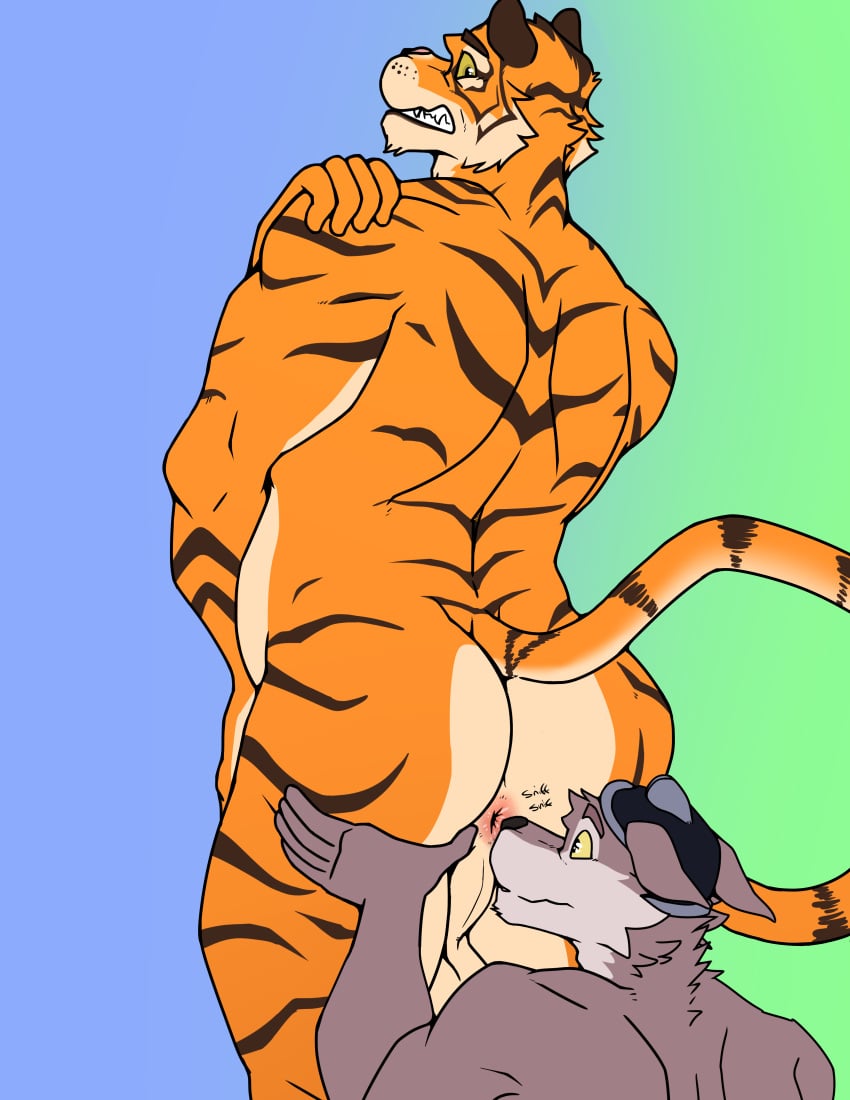 absurd_res anthro anus ass balls big_butt butt_sniffing canid canine canis digital_media_(artwork) duo epic_games felid fortnite fur genitals hair hi_res looking_back male male/male mammal muscular muscular_anthro muscular_male musk nose_to_anus nude orange_body orange_fur oscar_(fortnite) pantherine rear_view simple_background sniffing stripes sylvanedadeer tail tiger wendell_(fortnite) wolf