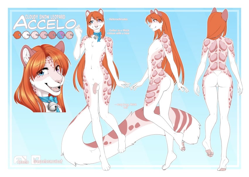 accelo accelo_(character) anthro ass bell blue_eyes bow_ribbon clothed clothing crossdressing felid fluffy fluffy_tail fur genitals girly hair heterochromia hi_res long_hair long_tail male mammal model_sheet orange_hair pantherine penis pink_body pink_fur purple_eyes snow_leopard solo spots tail text tongue tongue_out water