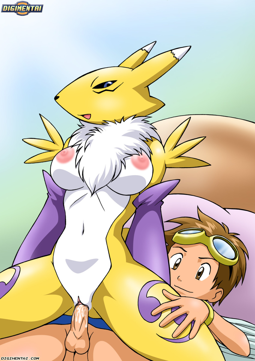 breasts brown_eyes brown_hair clothed cum cum_in_pussy cum_inside digihentai digimon digimon_tamers digiphilia female_on_top furry nipples penetration penis pussy pussy_juice renamon reverse_cowgirl_position takato_matsuki vaginal_penetration