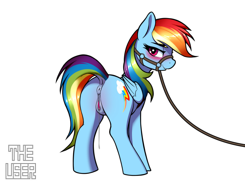 animal_genitalia animal_pussy anus ass blue_body blue_fur blush bridle cutie_mark dock equid equine equine_genitalia equine_pussy female feral folded_wings friendship_is_magic fur genitals hasbro leash mammal multicolored_hair multicolored_tail my_little_pony pegasus pussy rainbow_dash_(mlp) rainbow_hair rainbow_tail smile user001 wings