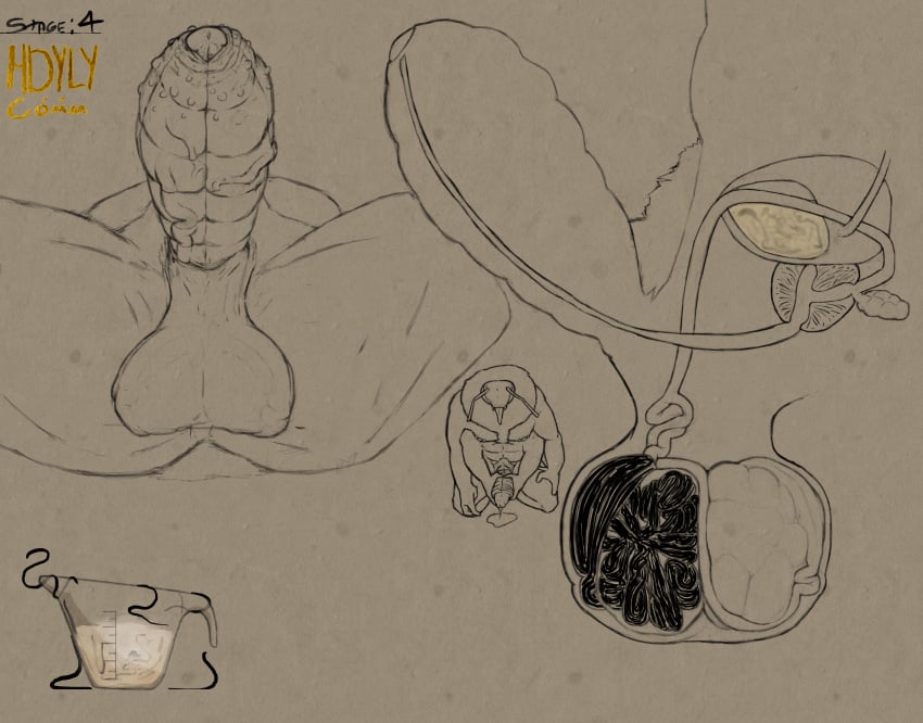 absurd_res anthro anthro_insect armpit_hair arthropod artist_logo artist_name ball_bulge ball_growth ball_inflation balls balls_expansion bee bladder bodily_fluids body_hair bumble_bee_(species) cock_vore cum cum_in_a_cup cum_in_container cutaway diagram digital_media_(artwork) digitigrade dripping epididymis erection expansion foreskin front_view genital_expansion genital_fluids genital_growth genitals glans gooning growth hdyly hi_res hymenopteran infestation infested_cum infesticles insects internal leaking_precum line_art logo male masturbation miel_the_bumblebee neck_tuft nipple_piercing nipples nude nude_anthro nude_male organs peeing peeing_in_cup peeing_into_container penile penis piercing precum precum_drip precum_on_ground precum_string prostate prostate_sounding prostate_stimulation pubes series side_profile side_view signature tuft urethra urethra_worm urethral urination urine vein veiny_penis vore