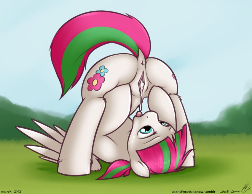 anus asknsfwcobaltsnow blossomforth_(mlp) cum equine female friendship_is_magic horse my_little_pony open_mouth pony pussy tongue