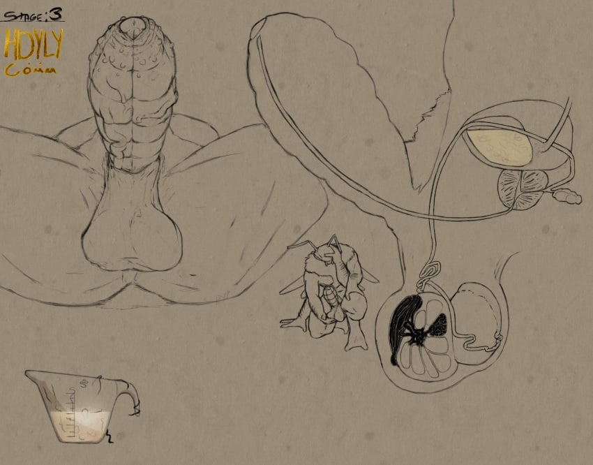 absurd_res anthro anthro_insect armpit_hair arthropod artist_logo artist_name ball_bulge ball_growth ball_inflation balls balls_expansion bee bladder bodily_fluids body_hair bumble_bee_(species) cock_vore cum cum_in_a_cup cum_in_container cutaway diagram digital_media_(artwork) digitigrade dripping epididymis erection expansion foreskin front_view genital_expansion genital_fluids genital_growth genitals glans gooning growth hdyly hi_res hymenopteran infestation infested_cum infesticles insects internal leaking_precum line_art logo male masturbation miel_the_bumblebee neck_tuft nipple_piercing nipples nude nude_anthro nude_male organs peeing peeing_in_cup peeing_into_container penile penis piercing precum precum_drip precum_on_ground precum_string prostate pubes series side_profile side_view signature tuft urethra urethra_worm urethral urination urine vein veiny_penis vore
