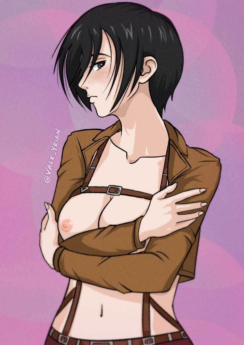 attack_on_titan breasts clothes harness mikasa_ackerman portrait shingeki_no_kyojin short_hair solo solo_female valk_yrian vest