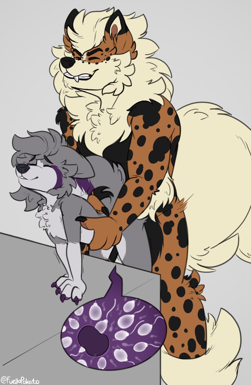 absurd_res anthro arcanine big_dom_small_sub big_tail bodily_fluids canid canine canis cum dominant duo female fluffy fuegopokato generation_1_pokemon genital_fluids grin held_up hi_res impregnation kato_(fuegopokato) larger_male male male/female mammal muscular muscular_male nintendo ovum penetration pokemon pokemon_(species) sex shaking size_difference smaller_penetrated smile sperm_cell spots standing standing_sex tail tempo_arcanine vaginal_penetration vaginal_penetration wolf