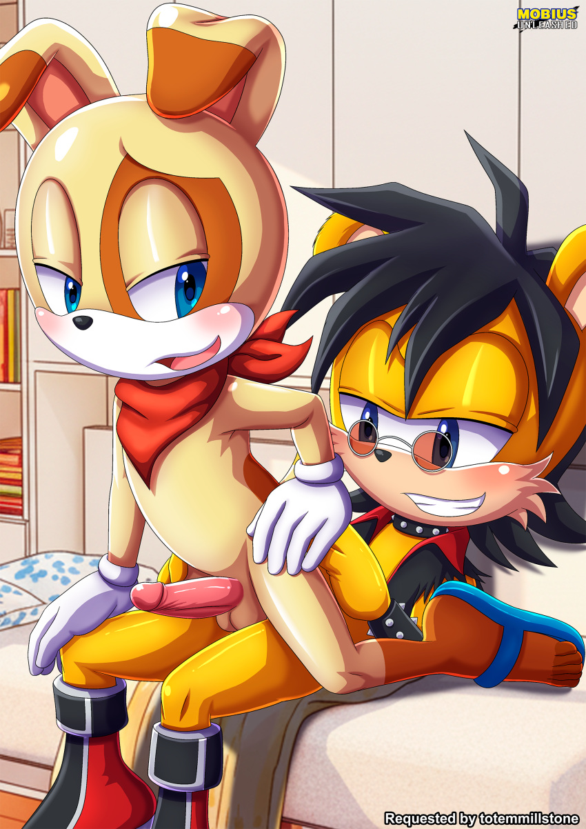 Ash Mongoose (Sega) Rule 34 Image