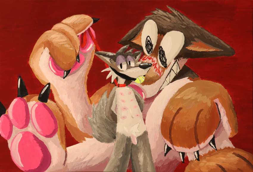 absurd_res acrylic_painting_(artwork) anthro ball ball_gag blush brown_body brown_fur bunnymutt canid canine collar duo eyes fur gag genitals grey_body grey_fur hi_res leash leash_pull leashed_collar macro male male/male mammal nipples orange_body orange_fur painting_(artwork) pawpads paws penis red_background simple_background size_difference tennis_ball traditional_media_(artwork) white_body white_fur