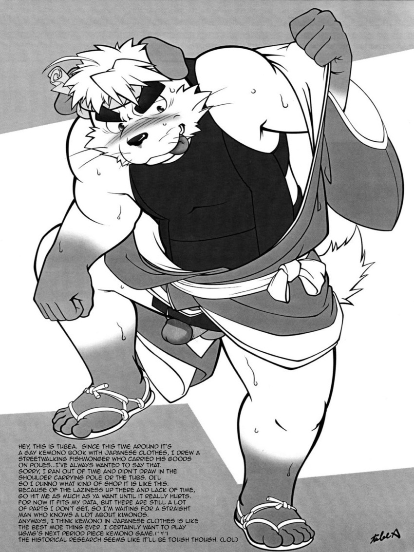 1boy anthro balls canine clothes comic fur furry jin_(artist) male male_only penis shirt solo translated