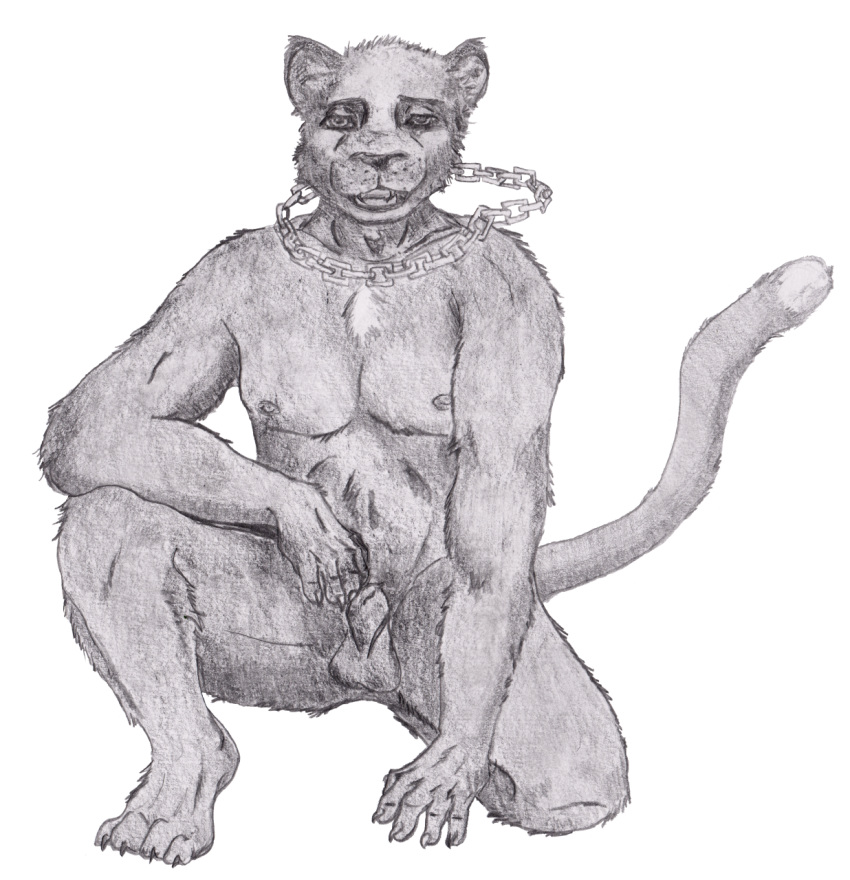 Ray Rule 34 Image