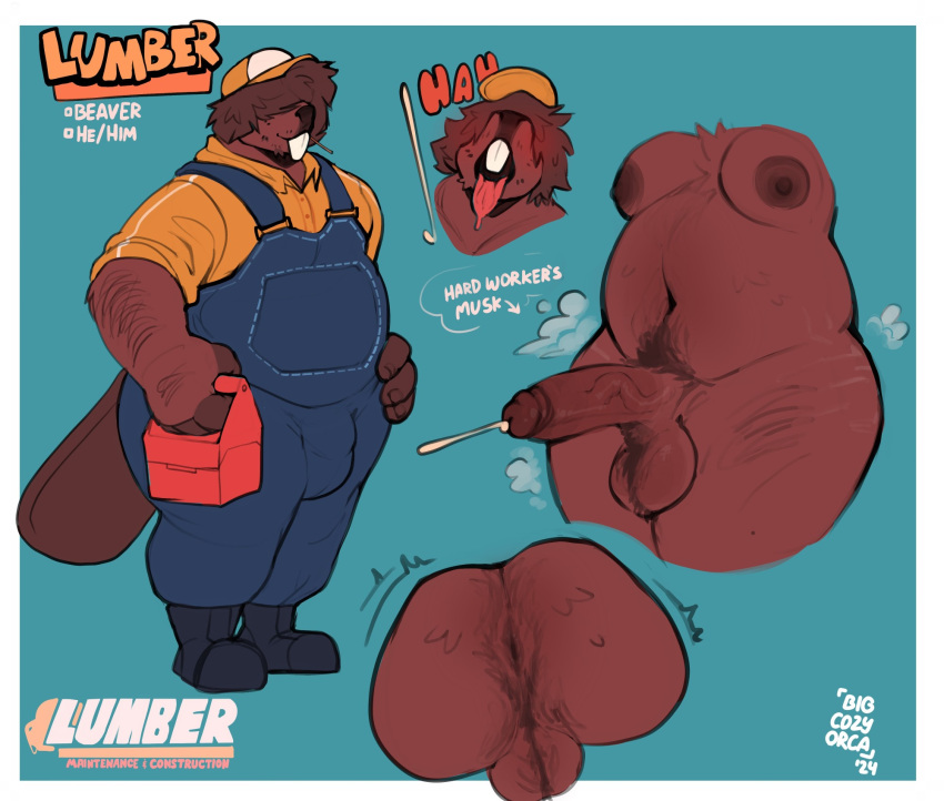 anthro anus ass backsack balls beaver belly bigcozyorca brown_body brown_fur buckteeth clothing erection fur genitals hair hair_over_eyes hi_res male male_only mammal moobs navel nipples overalls overweight penis rodent solo teeth toolbox