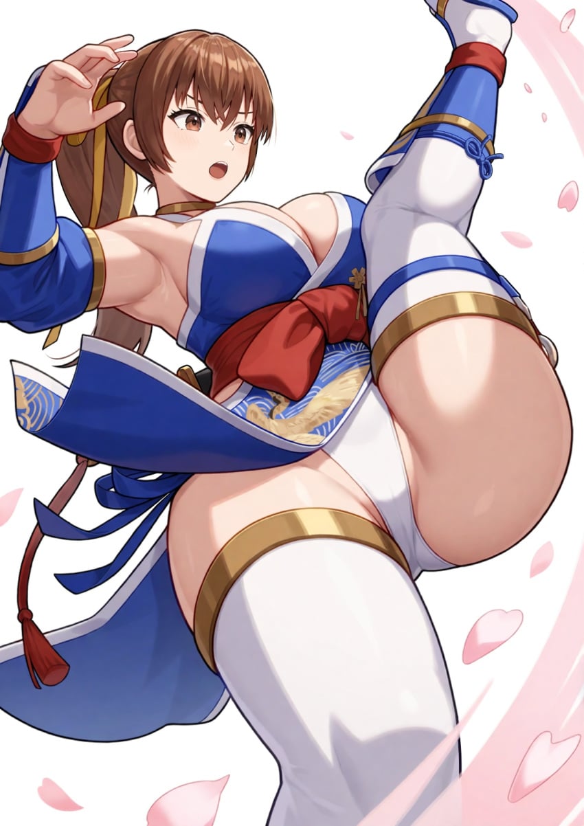 Kasumi (Doa) Rule 34 Image