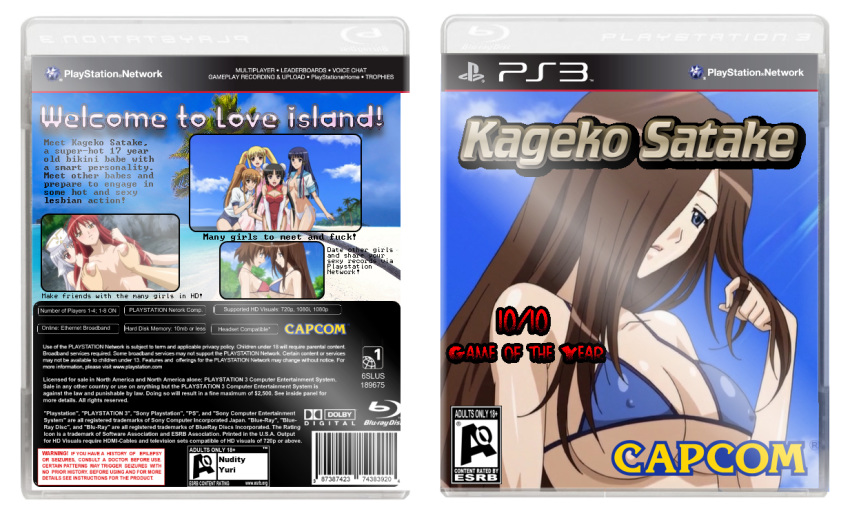 15_bishoujo_hyouryuuki bikini breasts brown_hair erect_nipples fake_screenshot kageko_satake multiple_girls parody playstation_3 very_long_hair