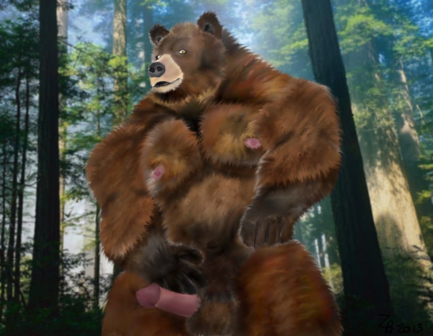 balls bear brown erection forest fur furry gay grin grizzly male muscles nipples no_humans penis tree unknown_artist