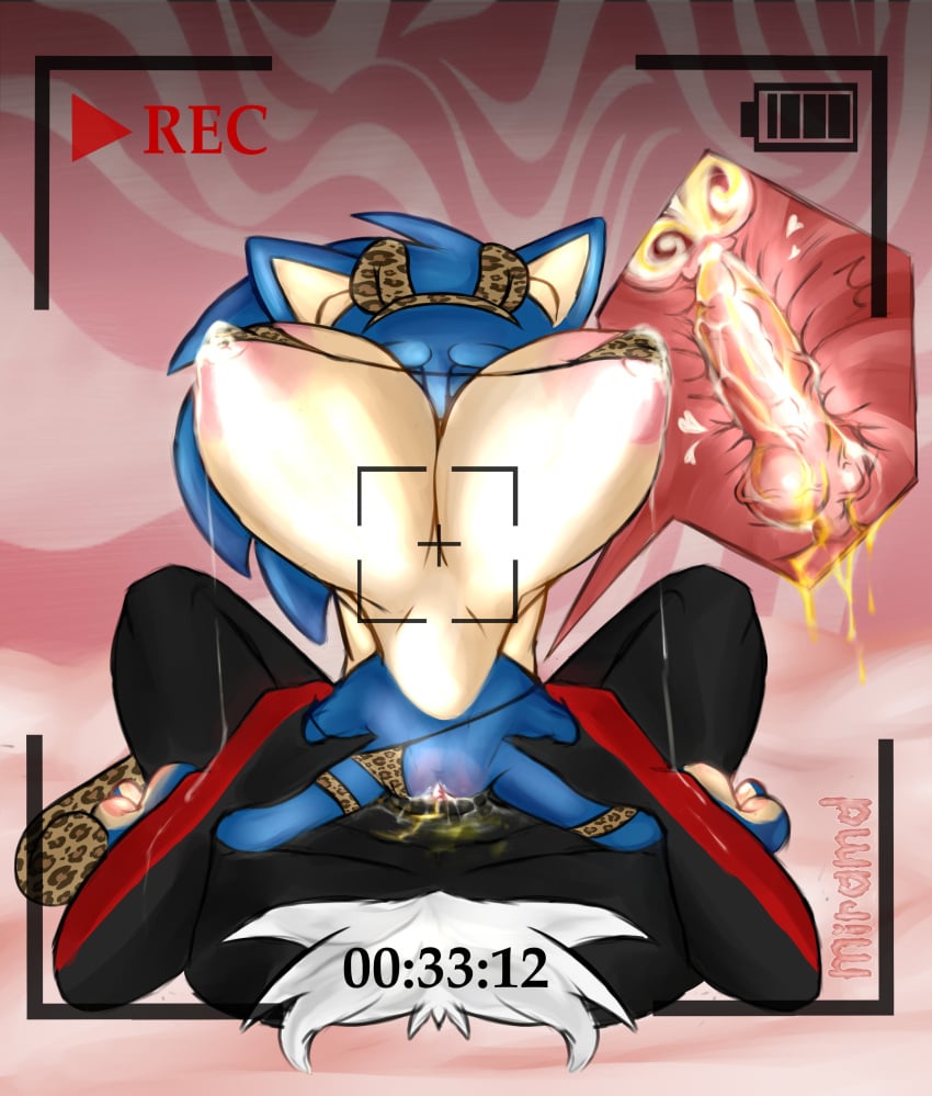 Shadow The Hedgehog (Sonic (Series)) Rule 34 Image