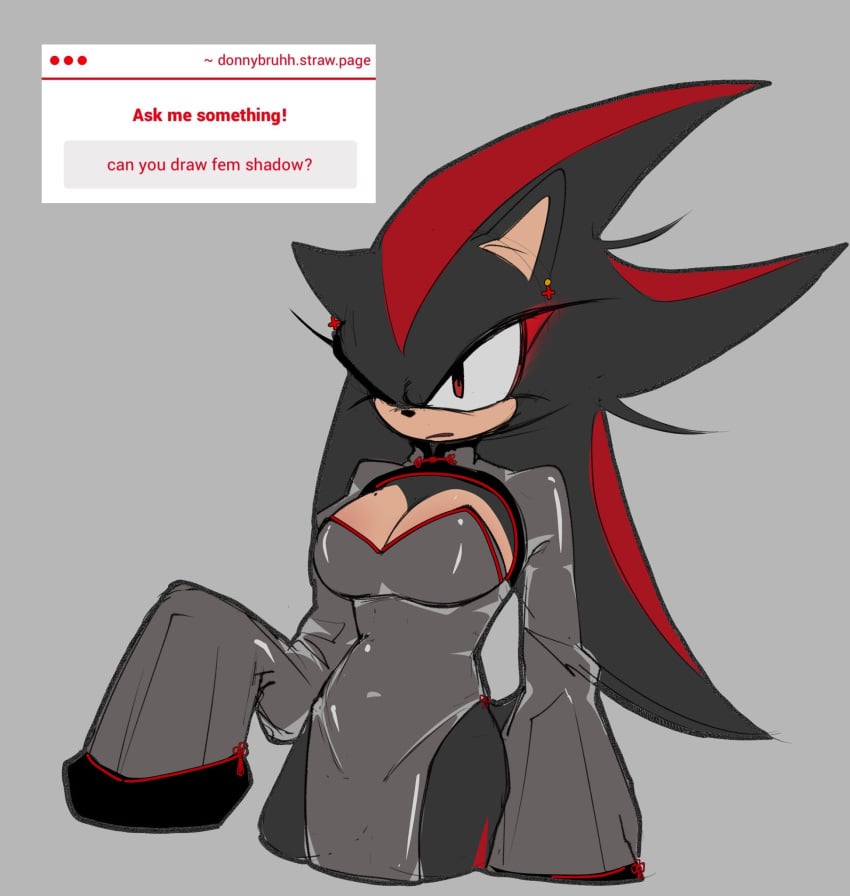 Shade The Hedgehog (Sonic (Series)) Rule 34 Image