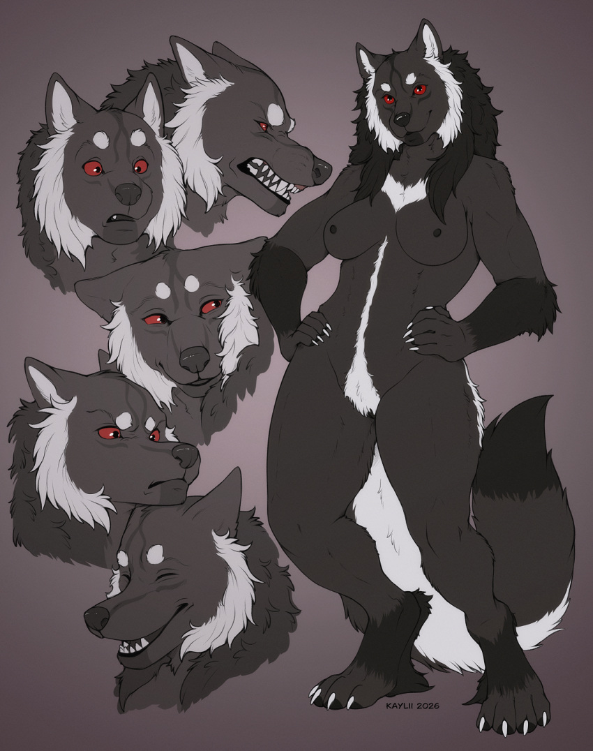Silver (Killerwolf1020) Rule 34 Image