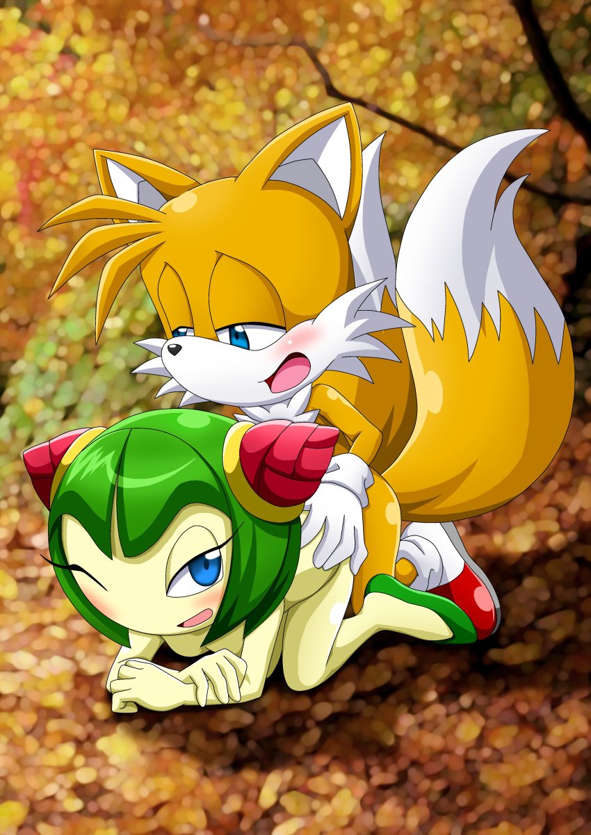 1boy 1girls alien alien_girl alien_humanoid anthro bbmbbf blush breasts canine cosmo_the_seedrian female fox gloves male male/female mobian_(species) mobius_unleashed nude one_eye_closed open_mouth palcomix penetration plant plant_girl plant_humanoid sega sex shoes sonic_(series) sonic_the_hedgehog_(series) sonic_x tails tails_the_fox tongue