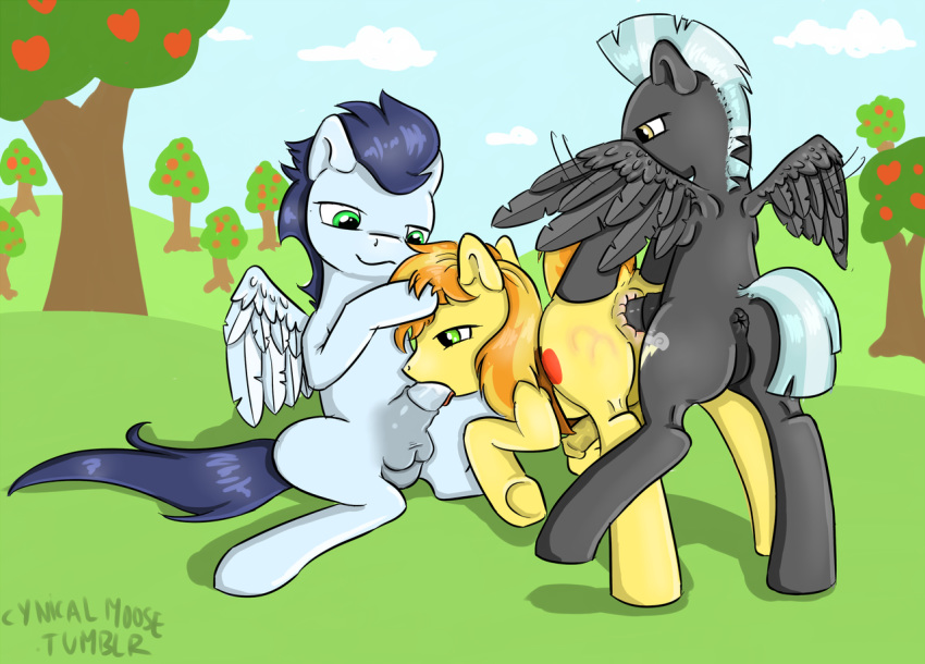 anal anus braeburn_(mlp) cynicalmoose earth_pony equine friendship_is_magic fur furry furry_only horse male male_only multiple_males my_little_pony no_humans oral pegasus penis pony sex soarin_(mlp) threesome thunderlane_(mlp) wing_boner wings wonderbolts_(mlp) yaoi