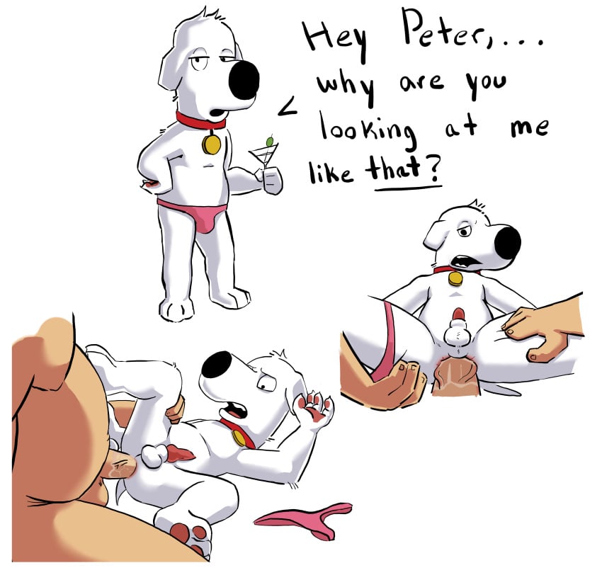 Brian Griffin (Family Guy) Rule 34 Image