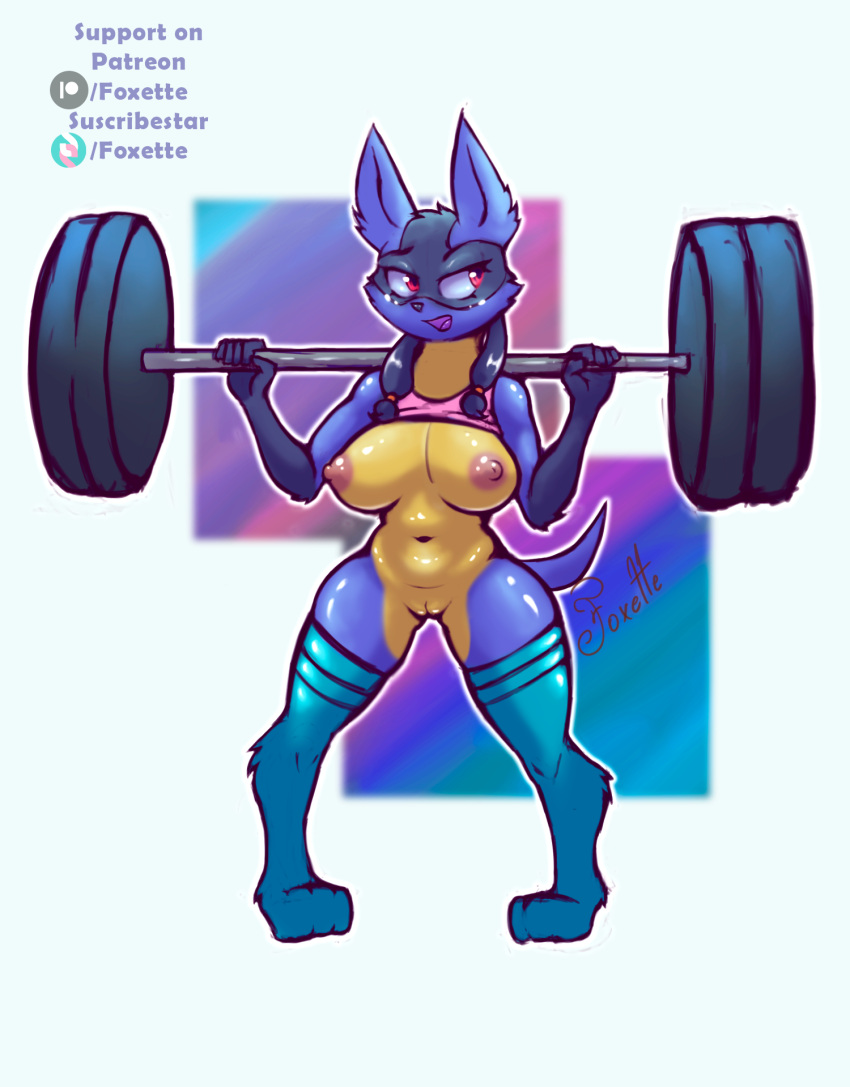 anthro anthro_only ass belly breasts clothing female foxette genitals gym hi_res humanoid legwear lucario mammal navel nintendo nipples pokemon pussy shirt smile solo stockings tail topwear