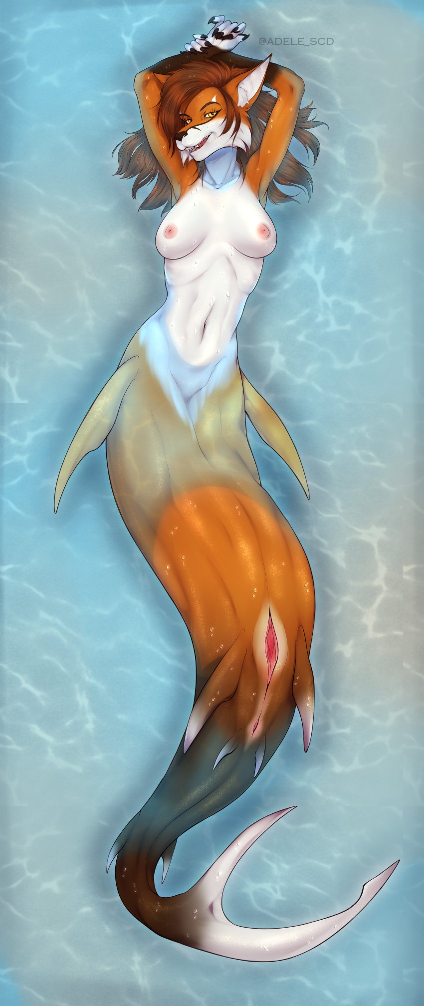 adele_scd anthro belly breasts brown_hair fish fox furry in_water mermaid monster nail_polish nails oc original_character pussy slim slim_waist stomach tail wet wet_body wet_skin yellow_eyes