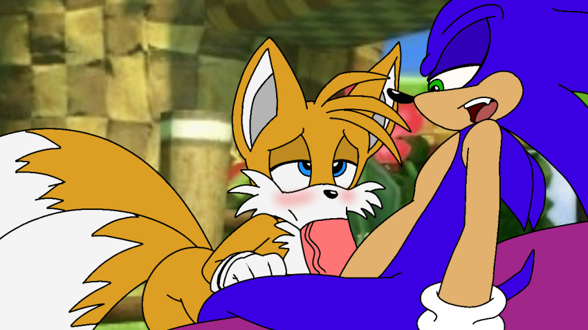 2boys 2d 2d_animation animated blowjob fellatio fox furry gay gif hedgehog male/male male_only sonic_(series) sonic_the_hedgehog sonic_the_hedgehog_(series) spanky15 tails tails_the_fox