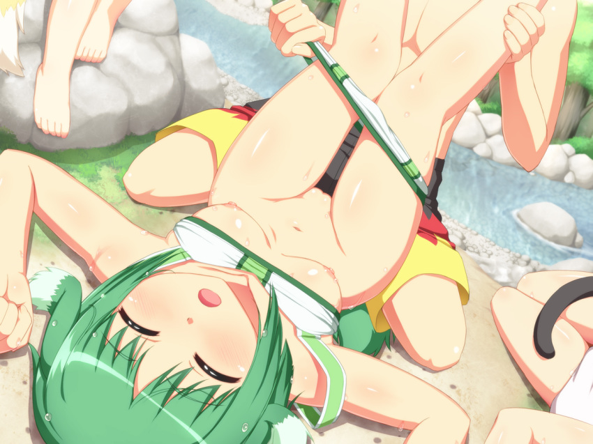 3girls animal_ear assisted_exposure barefoot bikini bikini_lift bikini_pull blush breasts breasts_out cat_tail closed_eyes dog_days dog_ear dog_tail eclair_martinozzi feet fox_tail green_hair mound_of_venus multiple_girls navel nipples noir_vinocacao open_mouth pussy shinku_izumi short_hair sleeping stream swimsuit tachimi_(basue) tail undressing water wet yukikaze_panettone